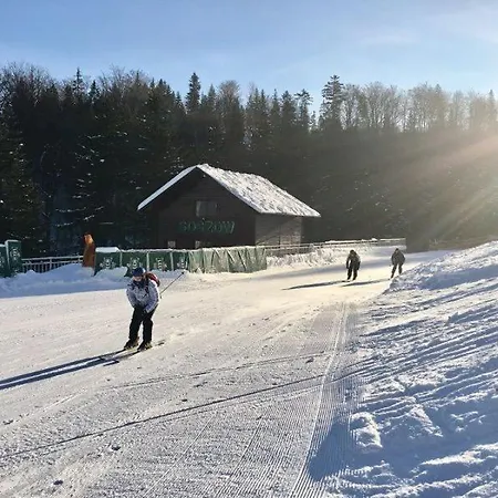 Stacja Narciarska Soszow Station touristique *